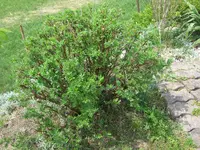 CIMG2166.webp