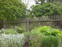 Mai5 004.webp