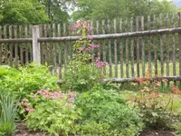 Mai5 005.webp