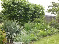Mai5 007.webp