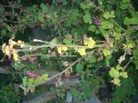 CIMG4954.webp