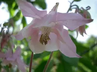 CIMG5684.webp