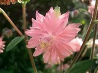 CIMG5686.webp
