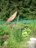 CIMG5699.webp