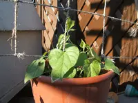 DSCF2929.webp