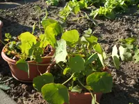 DSCF2931.webp