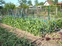 DSCF2932.webp
