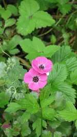 0a6.webp
