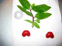 Bild 001.webp