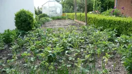K800_Mai 2009 035.webp