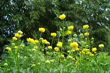 DSC04224.webp