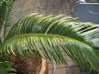 IMG_0991.webp