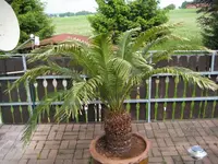 IMG_0995.webp