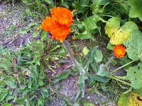 15-05-09_1406.webp