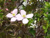 P1050758_600_450.webp