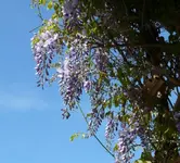 P1050714_600_544.webp