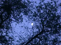 DSCN6165.webp