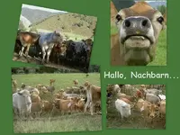 Hallo, Nachbarn....webp