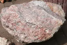 P1050739_600_411.webp