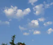 P1050238.webp