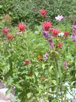 neu 009.webp neu 009.webp