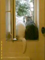 06.06.08 028.webp
