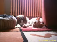 07-14-08 012.webp