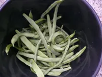 Bohnen-Ernte.webp