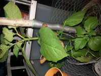20130726_214512.webp