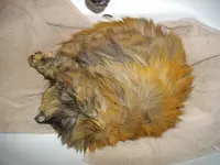 IMGP0366.webp