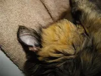 IMGP0370.webp