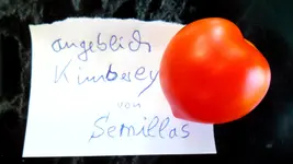 21.07. 2013 (2).webp