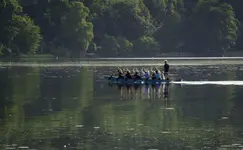 DSCN0214.webp