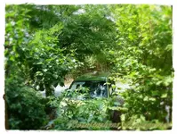 Nachbarskatze auf Autodach (1).webp