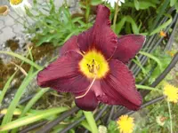 CIMG8876.webp