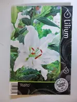 CIMG8587.webp