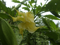 CIMG8828.webp