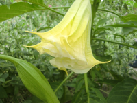 CIMG8829.webp