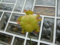 CIMG8825.webp