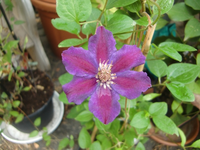 CIMG8831.webp