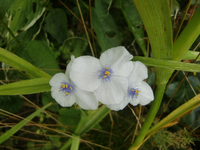 CIMG8802.webp