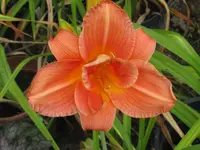 infinity_1024x768.webp