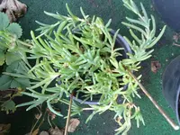 290720131402.jpg