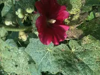 Foto(4).webp