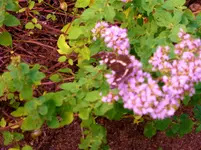 P1000244.webp