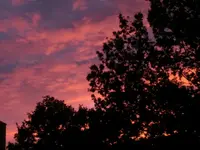 CIMG4448.webp