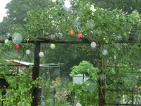 CIMG4488.webp