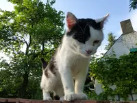 P1000035.webp