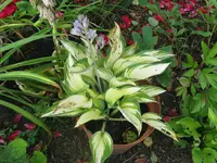 072_1024x768.webp