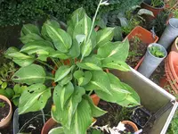 074_1024x768.webp